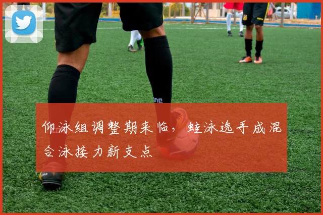 仰泳组调整期来临，蛙泳选手成混合泳接力新支点 - 500彩票网推荐