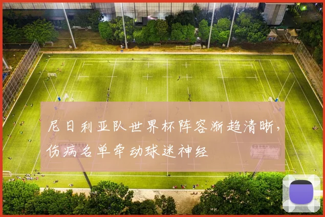 尼日利亚队世界杯阵容渐趋清晰，伤病名单牵动球迷神经 - 500彩票网推荐