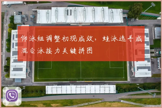 仰泳组调整初现成效，蛙泳选手成混合泳接力关键拼图 - 500彩票网推荐
